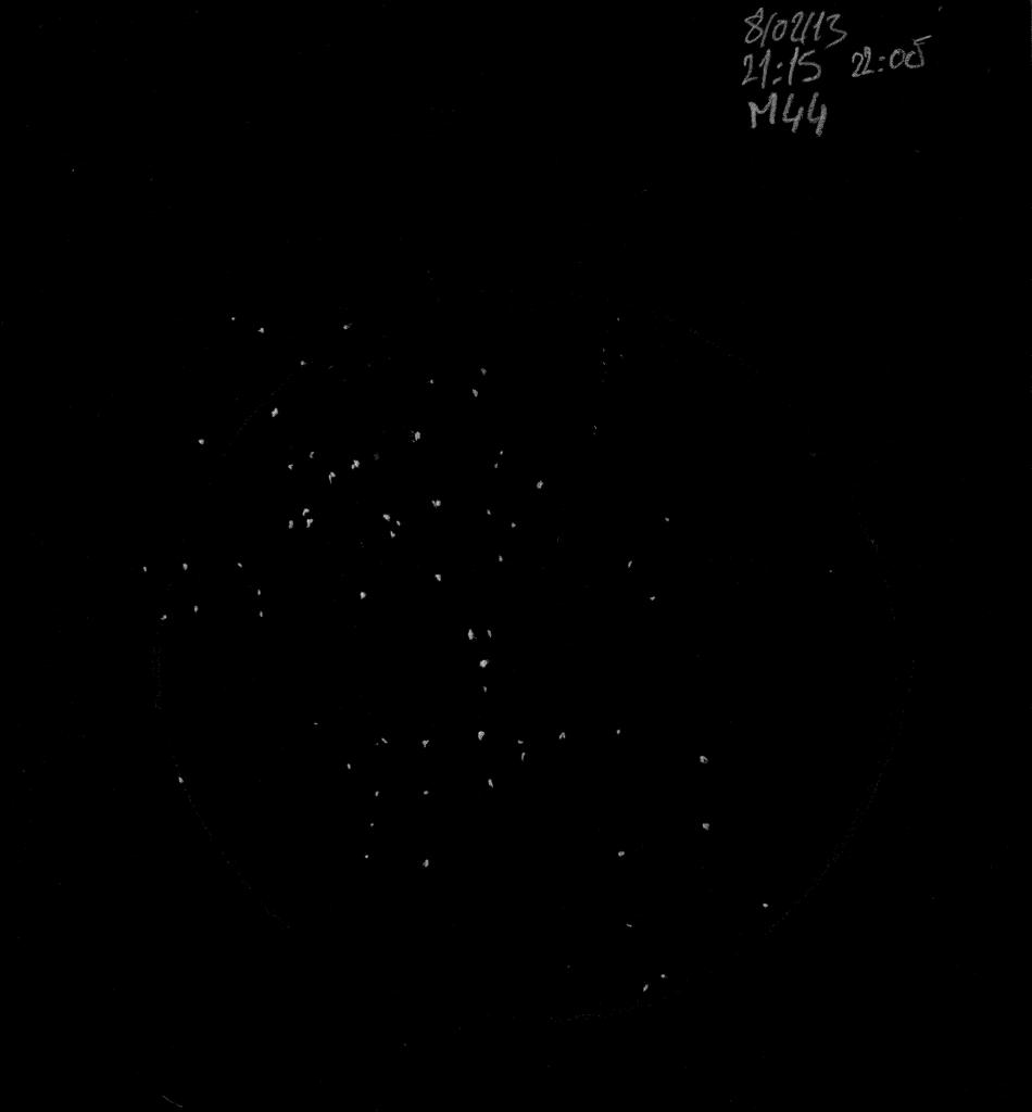 M44 amas de la crêche le 08-02-13
