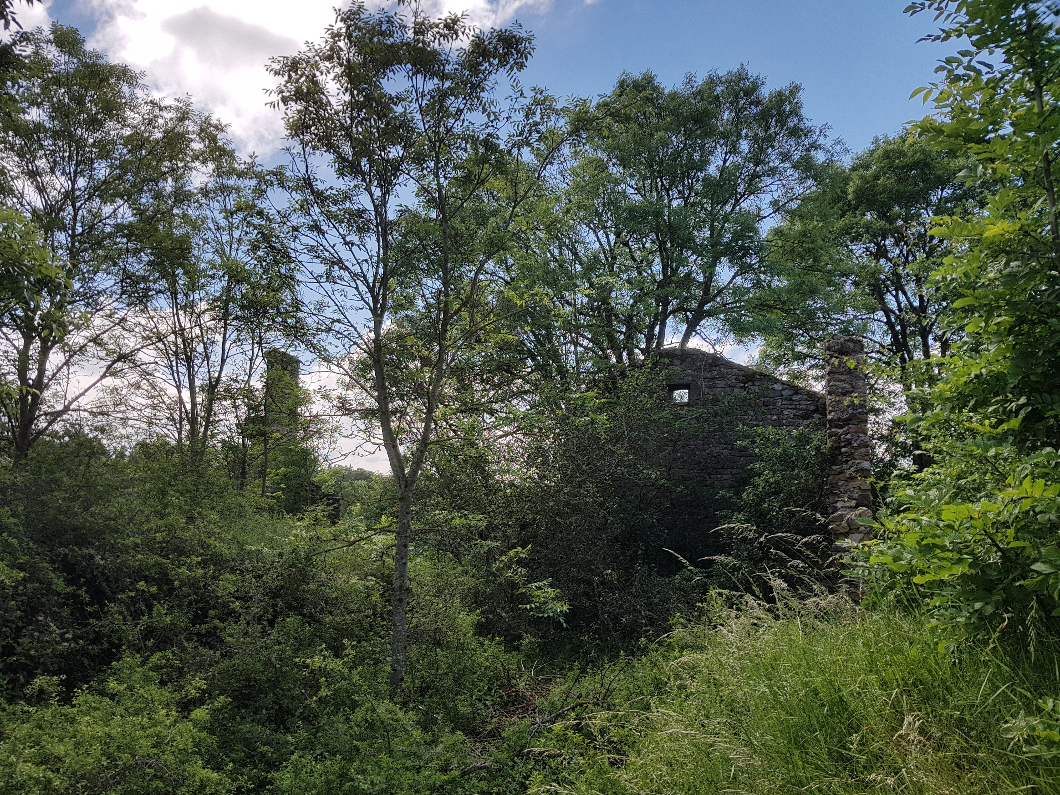 20190622_150051