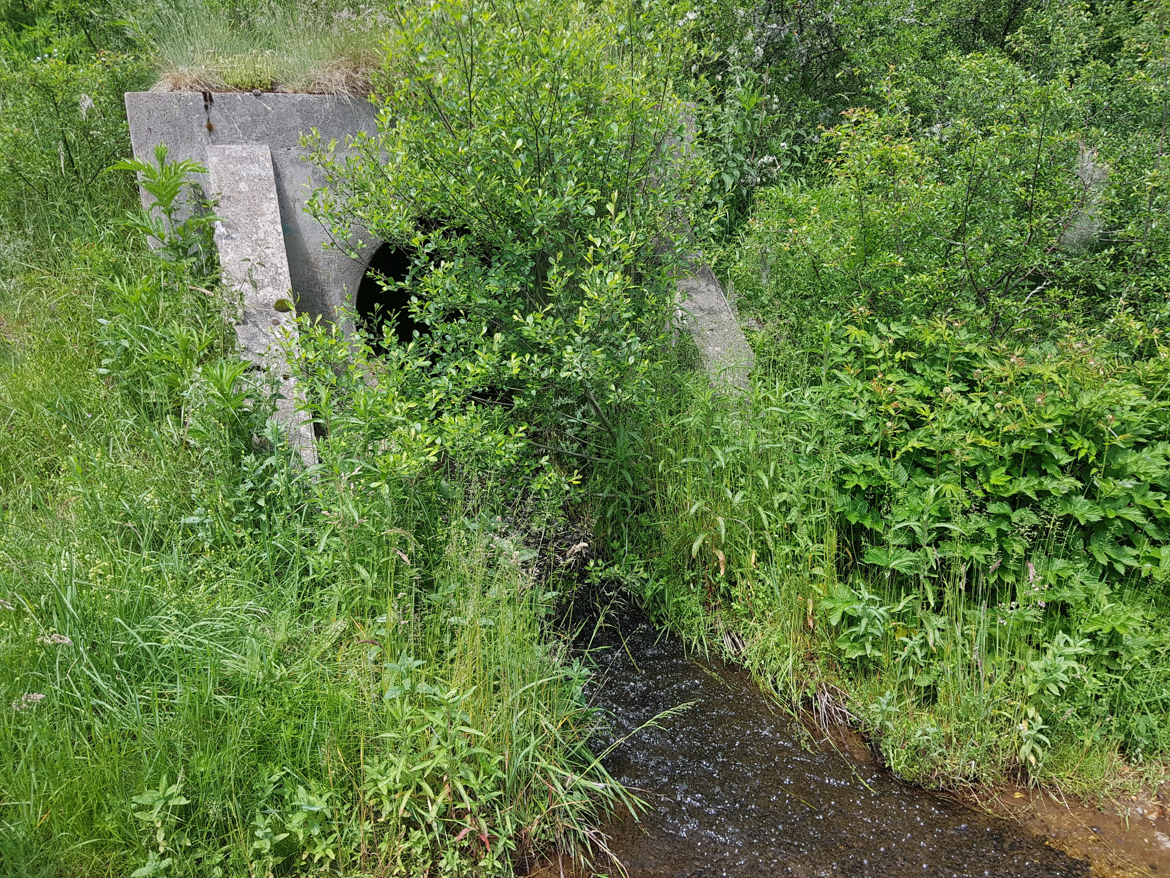 20190622_150815