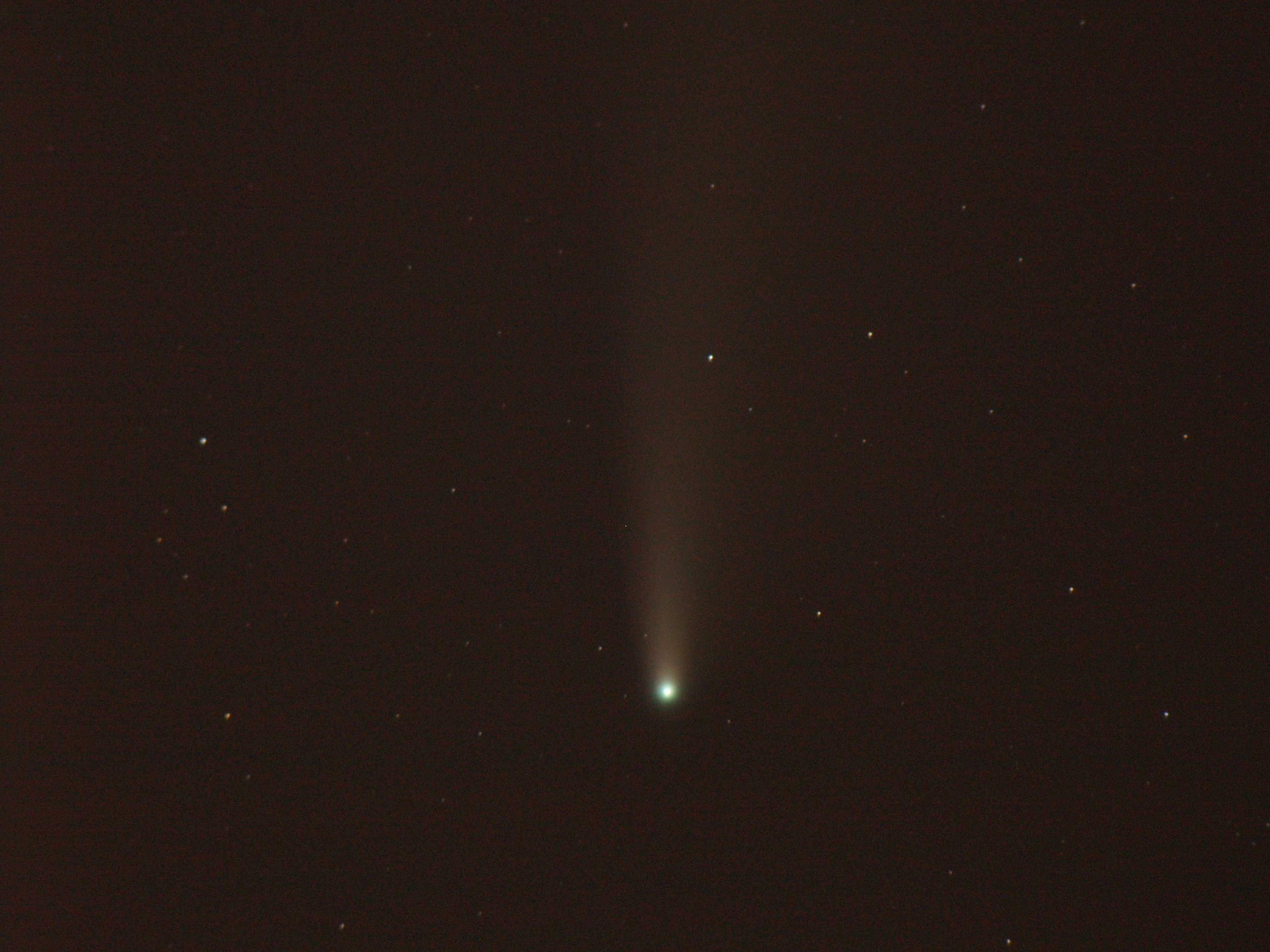 COMETE NEOWISE 19/07/2020